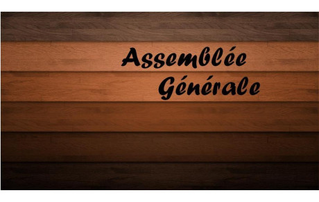 Compte rendu de l'Assemblée Générale 2015